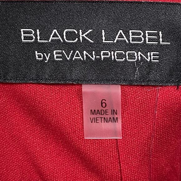 NEW Women’s Dress Black Label by Evan-Picone Size 6 Black Red White Midi NWT - Picture 4 of 8